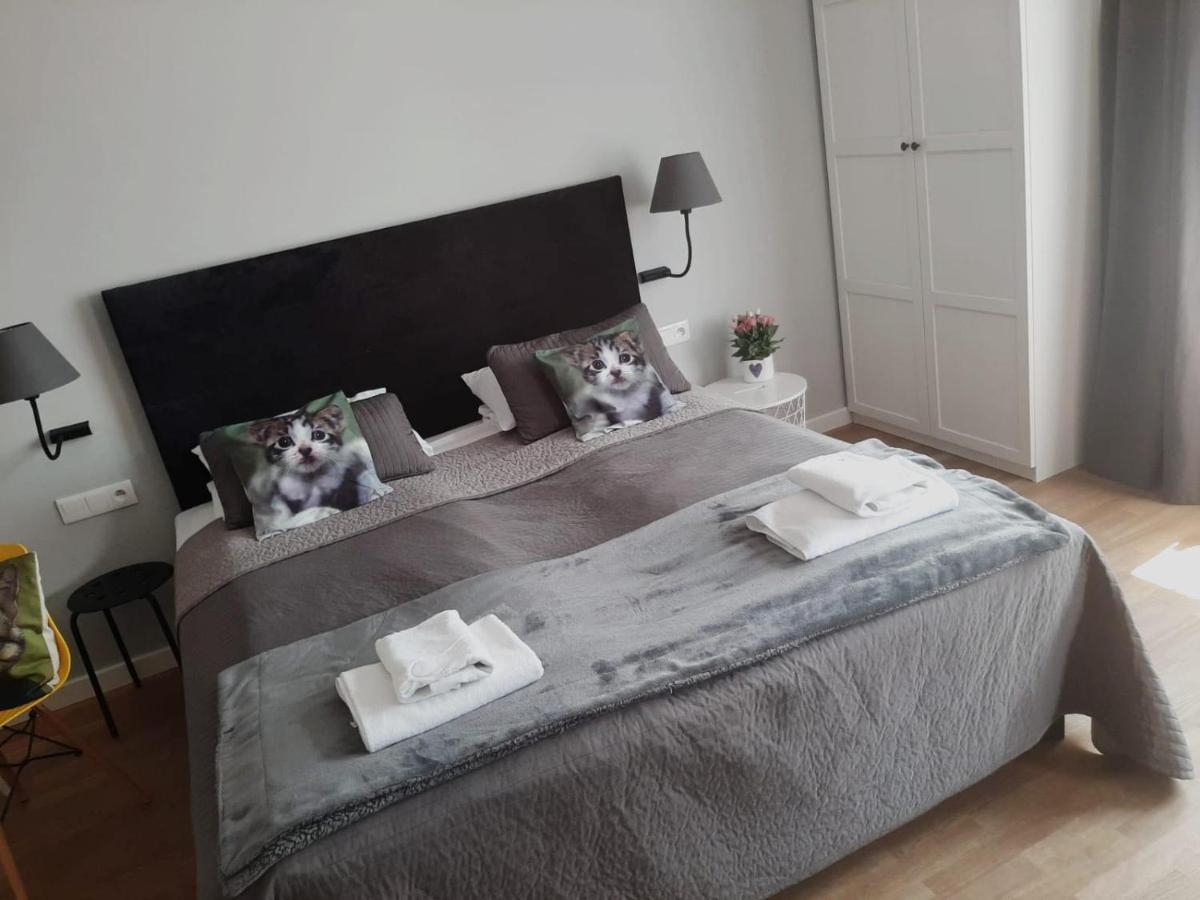 Apartamenty Koci Ogon Stary Toruń Dış mekan fotoğraf