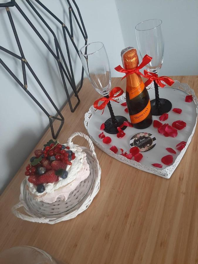 Apartamenty Koci Ogon Stary Toruń Dış mekan fotoğraf