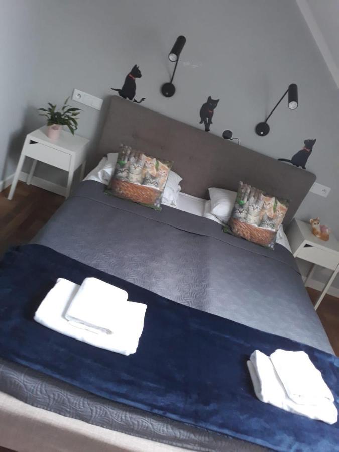 Apartamenty Koci Ogon Stary Toruń Dış mekan fotoğraf