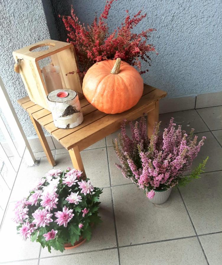 Apartamenty Koci Ogon Stary Toruń Dış mekan fotoğraf
