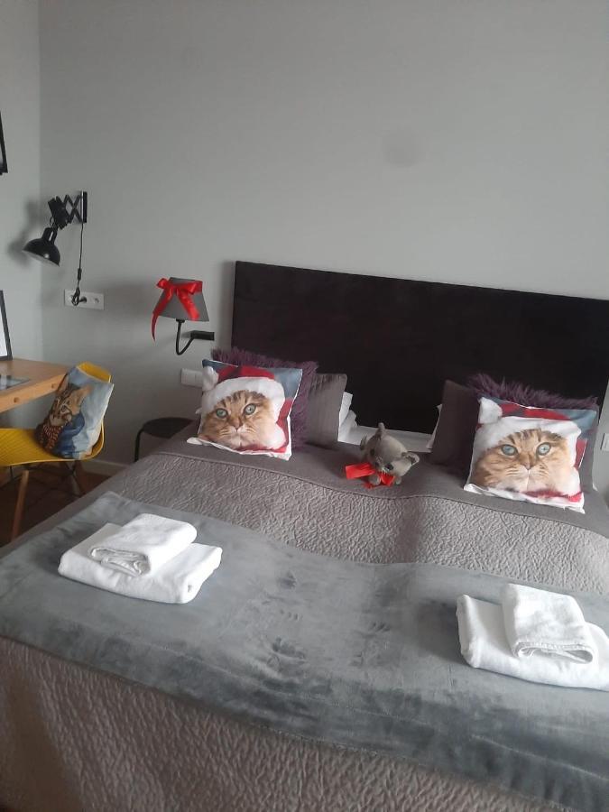 Apartamenty Koci Ogon Stary Toruń Dış mekan fotoğraf